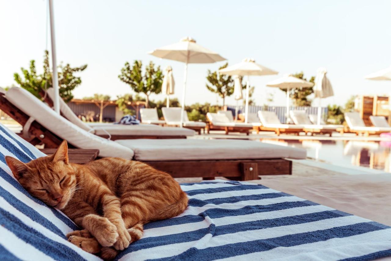 Sails On Kos Ecolux Tented Village Marmari  Bagian luar foto